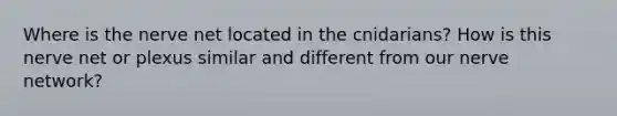 Where is the nerve net located in the cnidarians? How is this nerve net or plexus similar and different from our nerve network?