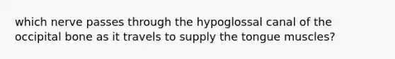 which nerve passes through the hypoglossal canal of the occipital bone as it travels to supply the tongue muscles?