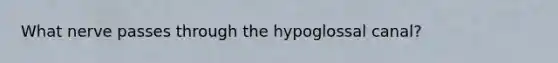 What nerve passes through the hypoglossal canal?