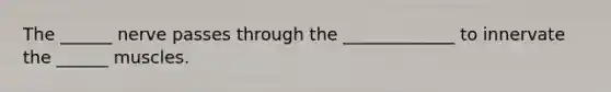 The ______ nerve passes through the _____________ to innervate the ______ muscles.