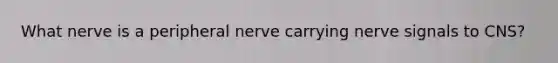 What nerve is a peripheral nerve carrying nerve signals to CNS?
