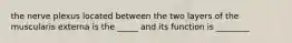 the nerve plexus located between the two layers of the muscularis externa is the _____ and its function is ________