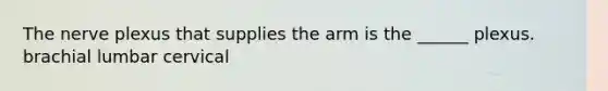 The nerve plexus that supplies the arm is the ______ plexus. brachial lumbar cervical