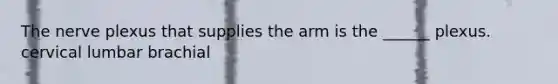 The nerve plexus that supplies the arm is the ______ plexus. cervical lumbar brachial