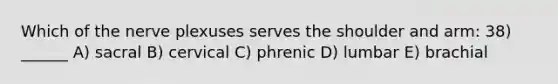 Which of the nerve plexuses serves the shoulder and arm: 38) ______ A) sacral B) cervical C) phrenic D) lumbar E) brachial