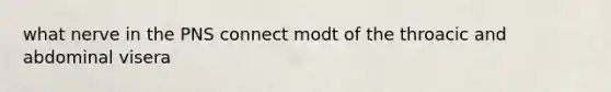 what nerve in the PNS connect modt of the throacic and abdominal visera