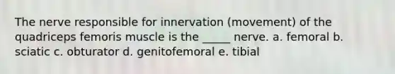 The nerve responsible for innervation (movement) of the quadriceps femoris muscle is the _____ nerve. a. femoral b. sciatic c. obturator d. genitofemoral e. tibial