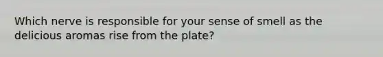 Which nerve is responsible for your sense of smell as the delicious aromas rise from the plate?