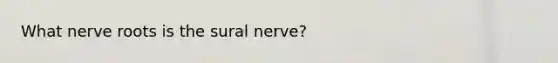 What nerve roots is the sural nerve?