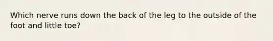 Which nerve runs down the back of the leg to the outside of the foot and little toe?