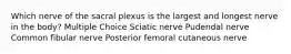 Which nerve of the sacral plexus is the largest and longest nerve in the body? Multiple Choice Sciatic nerve Pudendal nerve Common fibular nerve Posterior femoral cutaneous nerve