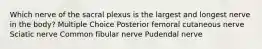 Which nerve of the sacral plexus is the largest and longest nerve in the body? Multiple Choice Posterior femoral cutaneous nerve Sciatic nerve Common fibular nerve Pudendal nerve