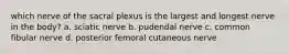 which nerve of the sacral plexus is the largest and longest nerve in the body? a. sciatic nerve b. pudendal nerve c. common fibular nerve d. posterior femoral cutaneous nerve