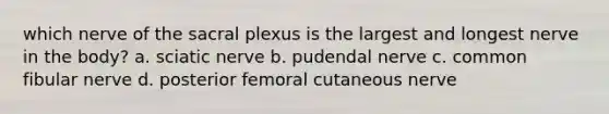 which nerve of the sacral plexus is the largest and longest nerve in the body? a. sciatic nerve b. pudendal nerve c. common fibular nerve d. posterior femoral cutaneous nerve