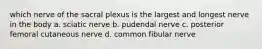 which nerve of the sacral plexus is the largest and longest nerve in the body a. sciatic nerve b. pudendal nerve c. posterior femoral cutaneous nerve d. common fibular nerve