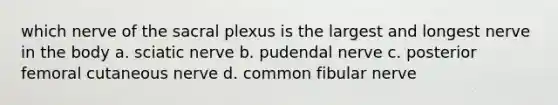 which nerve of the sacral plexus is the largest and longest nerve in the body a. sciatic nerve b. pudendal nerve c. posterior femoral cutaneous nerve d. common fibular nerve