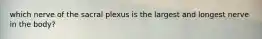 which nerve of the sacral plexus is the largest and longest nerve in the body?