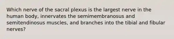 Which nerve of the sacral plexus is the largest nerve in the human body, innervates the semimembranosus and semitendinosus muscles, and branches into the tibial and fibular nerves?