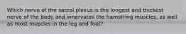 Which nerve of the sacral plexus is the longest and thickest nerve of the body and innervates the hamstring muscles, as well as most muscles in the leg and foot?