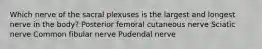 Which nerve of the sacral plexuses is the largest and longest nerve in the body? Posterior femoral cutaneous nerve Sciatic nerve Common fibular nerve Pudendal nerve