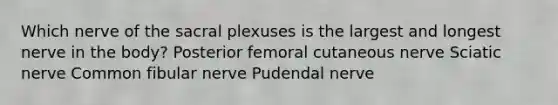 Which nerve of the sacral plexuses is the largest and longest nerve in the body? Posterior femoral cutaneous nerve Sciatic nerve Common fibular nerve Pudendal nerve