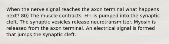 When the nerve signal reaches the axon terminal what happens next? 80) The muscle contracts. H+ is pumped into the synaptic cleft. The synaptic vesicles release neurotransmitter. Myosin is released from the axon terminal. An electrical signal is formed that jumps the synaptic cleft.