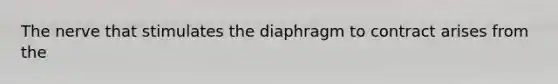 The nerve that stimulates the diaphragm to contract arises from the