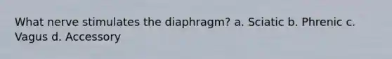 What nerve stimulates the diaphragm? a. Sciatic b. Phrenic c. Vagus d. Accessory