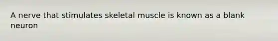 A nerve that stimulates skeletal muscle is known as a blank neuron