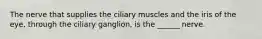 The nerve that supplies the ciliary muscles and the iris of the eye, through the ciliary ganglion, is the ______ nerve.