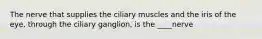 The nerve that supplies the ciliary muscles and the iris of the eye, through the ciliary ganglion, is the ____nerve