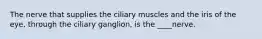 The nerve that supplies the ciliary muscles and the iris of the eye, through the ciliary ganglion, is the ____nerve.