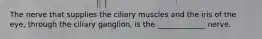 The nerve that supplies the ciliary muscles and the iris of the eye, through the ciliary ganglion, is the _____________ nerve.