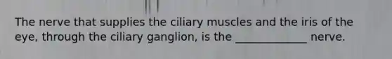 The nerve that supplies the ciliary muscles and the iris of the eye, through the ciliary ganglion, is the _____________ nerve.