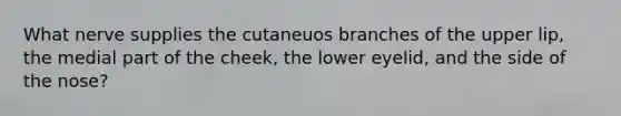 What nerve supplies the cutaneuos branches of the upper lip, the medial part of the cheek, the lower eyelid, and the side of the nose?