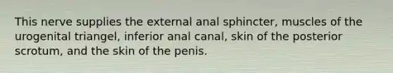 This nerve supplies the external anal sphincter, muscles of the urogenital triangel, inferior anal canal, skin of the posterior scrotum, and the skin of the penis.