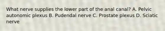 What nerve supplies the lower part of the anal canal? A. Pelvic autonomic plexus B. Pudendal nerve C. Prostate plexus D. Sciatic nerve