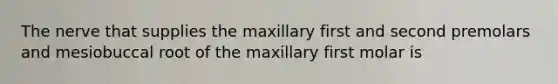 The nerve that supplies the maxillary first and second premolars and mesiobuccal root of the maxillary first molar is