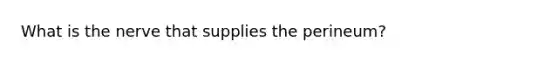 What is the nerve that supplies the perineum?