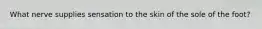 What nerve supplies sensation to the skin of the sole of the foot?