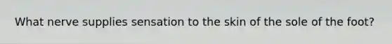 What nerve supplies sensation to the skin of the sole of the foot?