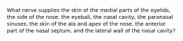 What nerve supplies the skin of the medial parts of the eyelids, the side of the nose, the eyeball, the nasal cavity, the paranasal sinuses, the skin of the ala and apex of the nose, the anterior part of the nasal septum, and the lateral wall of the nasal cavity?