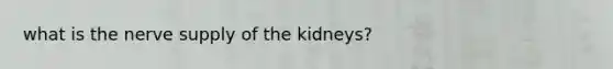 what is the nerve supply of the kidneys?