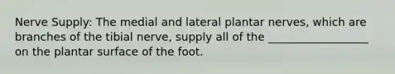 Nerve Supply: The medial and lateral plantar nerves, which are branches of the tibial nerve, supply all of the __________________ on the plantar surface of the foot.