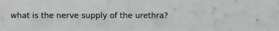 what is the nerve supply of the urethra?