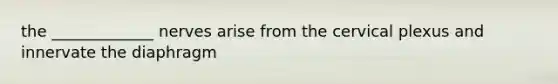 the _____________ nerves arise from the cervical plexus and innervate the diaphragm