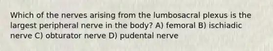 Which of the nerves arising from the lumbosacral plexus is the largest peripheral nerve in the body? A) femoral B) ischiadic nerve C) obturator nerve D) pudental nerve