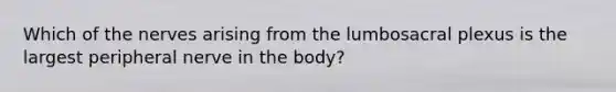 Which of the nerves arising from the lumbosacral plexus is the largest peripheral nerve in the body?