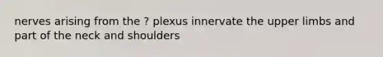 nerves arising from the ? plexus innervate the upper limbs and part of the neck and shoulders