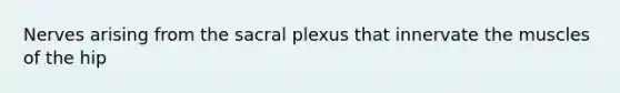 Nerves arising from the sacral plexus that innervate the muscles of the hip